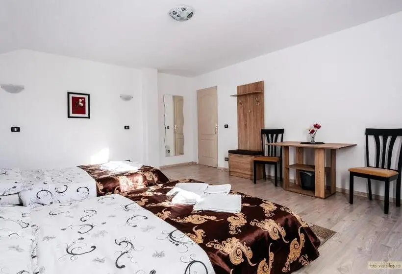 スーペリアー１ベッドルームビラ, Sweet Home Bucovina Frasin Petreceri Private Si Majorate