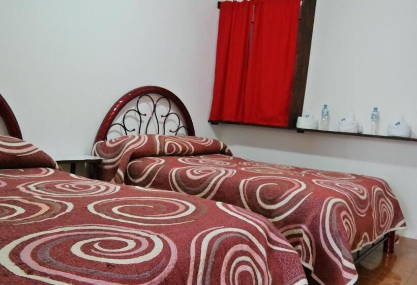 带2个双人床的标准工作室, Juan Pablo Ii