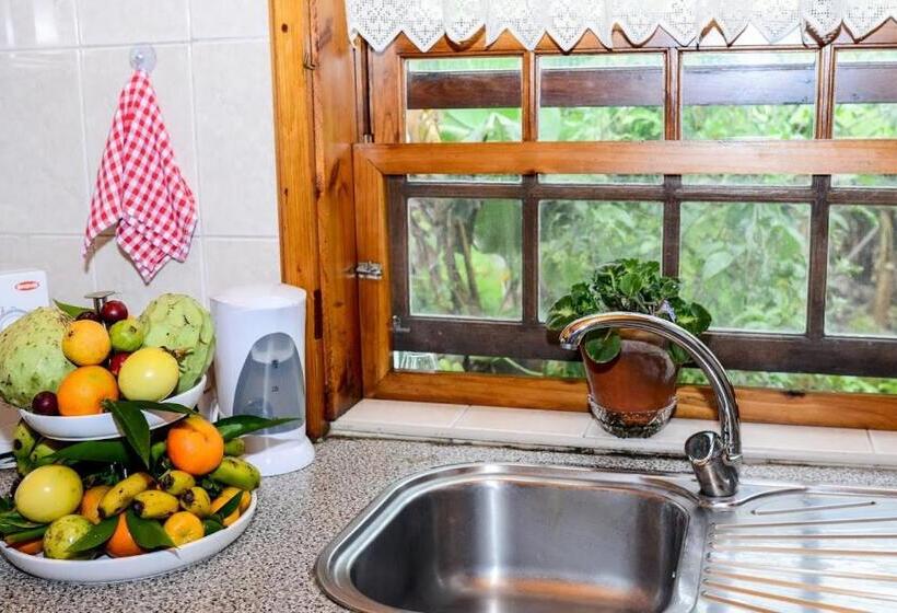 اتاق استاندارد یک نفره, Quinta Amaro Al