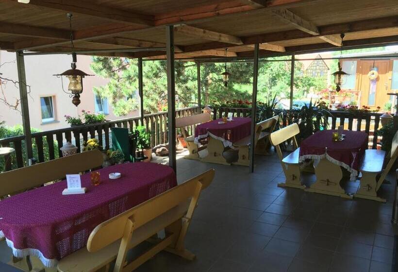 شقة ديلوكس غرفة واحدة, Pension Sonja Müller