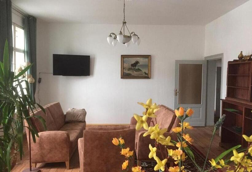 آپارتمان 2 خوابه, Rathaus Pension 1685