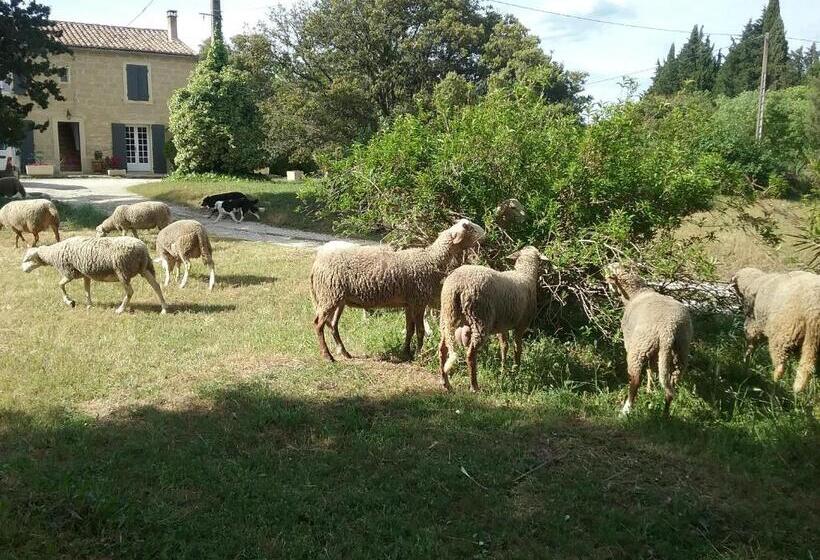 استودیو استاندارد با چشمانداز استخر, Le Mas Du Berger