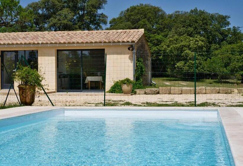 استودیو استاندارد با چشمانداز استخر, Le Mas Du Berger