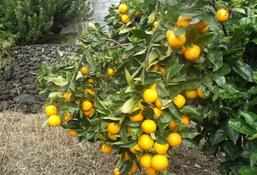 آپارتمان 1 خوابه, Tropical Fruit Garden