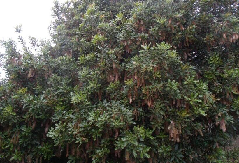 آپارتمان 1 خوابه, Tropical Fruit Garden