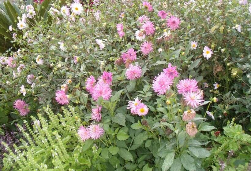 آپارتمان 1 خوابه, Tropical Fruit Garden