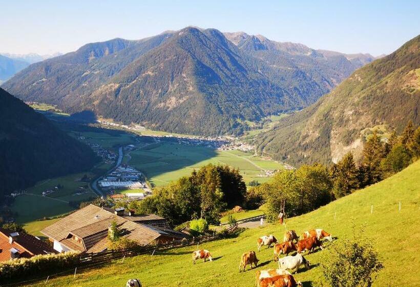 Апартаменты 1 Спальня с Видом, Aussermairhof