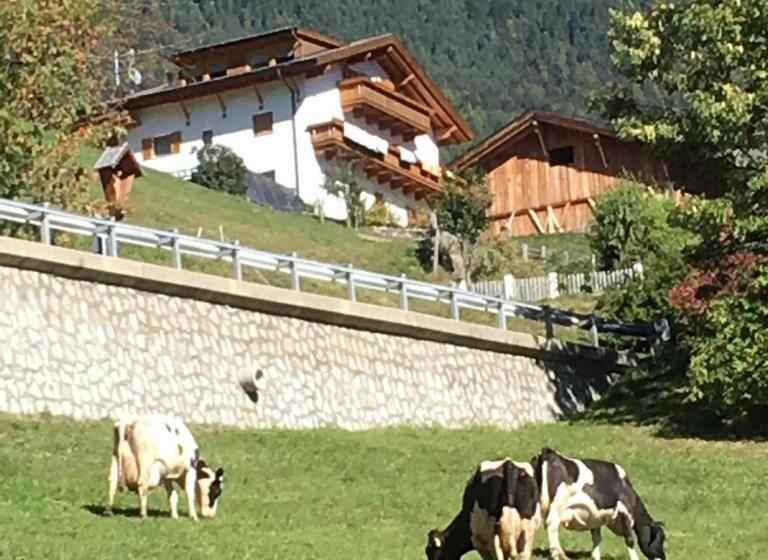 Апартаменты 1 Спальня с Видом, Aussermairhof