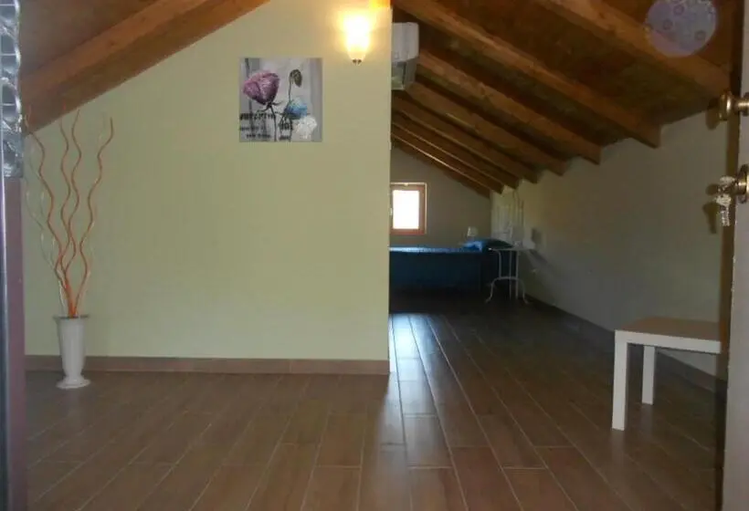 Juniorsviitti, Villa Brettii