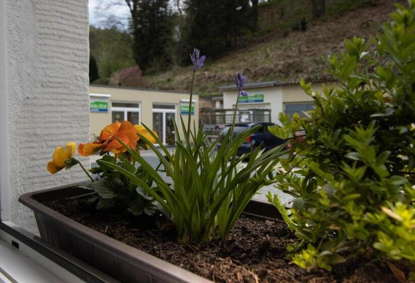 דירת חדר, Pension Hönel Hof Bad Schandau