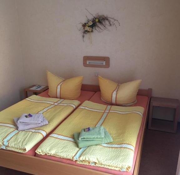 Номер Стандарт с Террасой, Pension Hönel Hof Bad Schandau