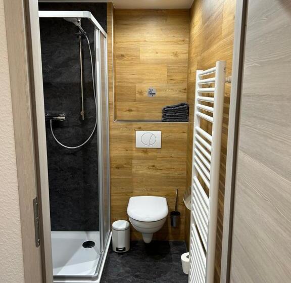 חדר סטנדרט חדר אמבטיה משותף, Pension Hönel Hof Bad Schandau