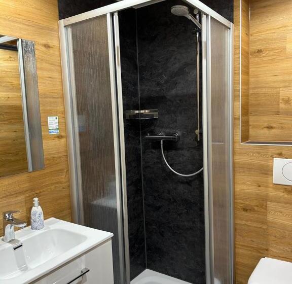 חדר סטנדרט חדר אמבטיה משותף, Pension Hönel Hof Bad Schandau