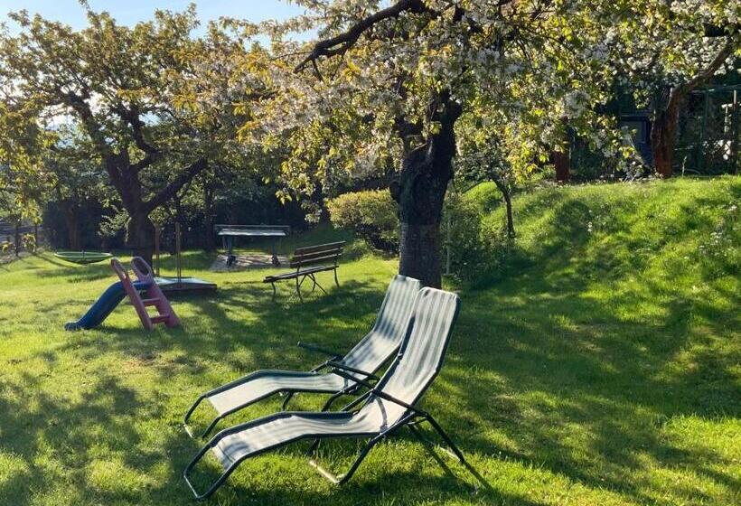 Апартаменты 1 Спальня, Pension Hönel Hof Bad Schandau