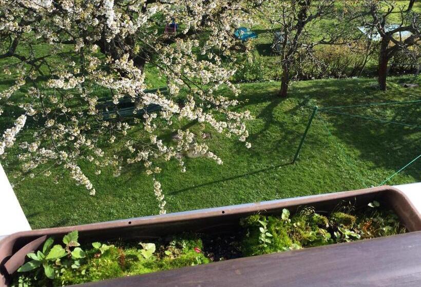 Апартаменты 1 Спальня с Балконом, Pension Hönel Hof Bad Schandau