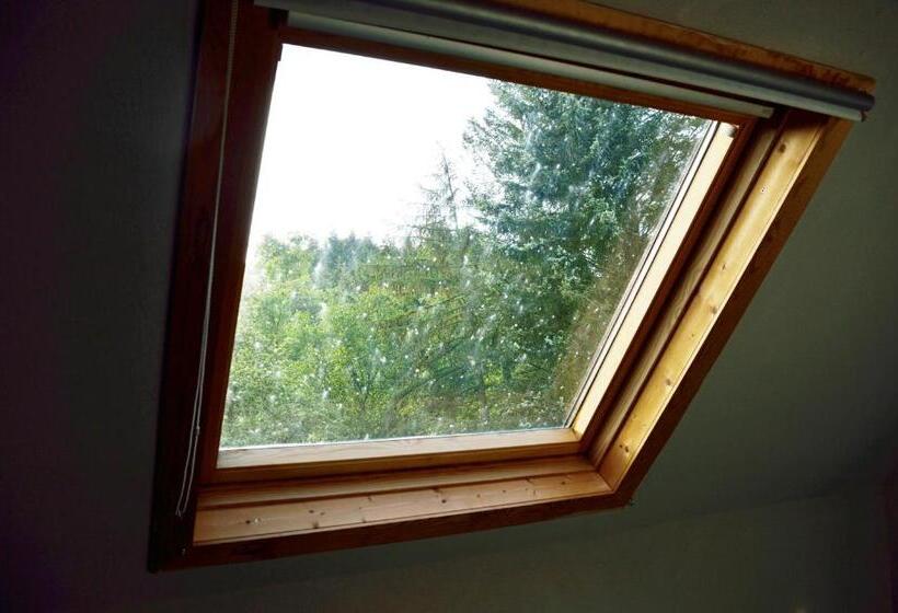 高级大房间, Franky House Am Nürburgring