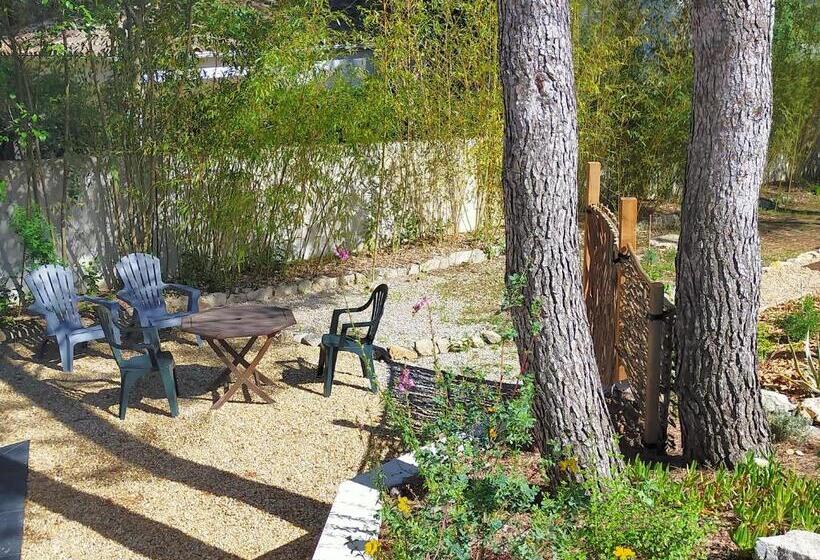 Студия Стандарт, Studio D Hôtes Les Libellules