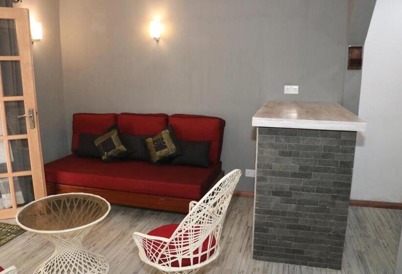 استودیوی استاندارد, Villa Soleil D’été