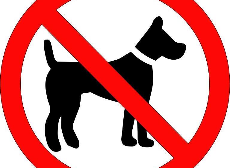 דירת שני חדרים, Egenes Camping