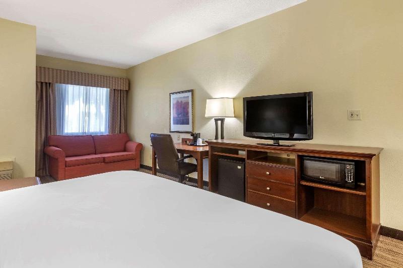 带大床的标准间, Country Inn & Suites By Radisson, Atlanta Downtown