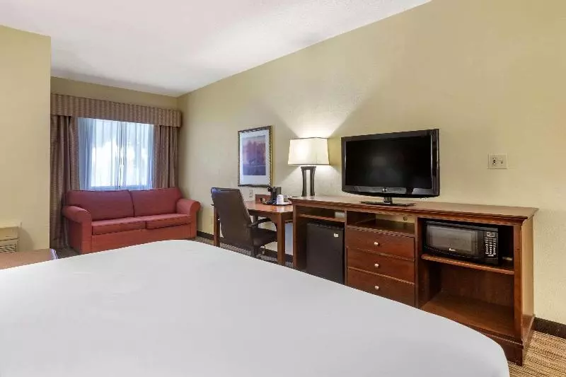 اتاق استاندارد با تخت بزرگ, Country Inn & Suites By Radisson, Atlanta Downtown