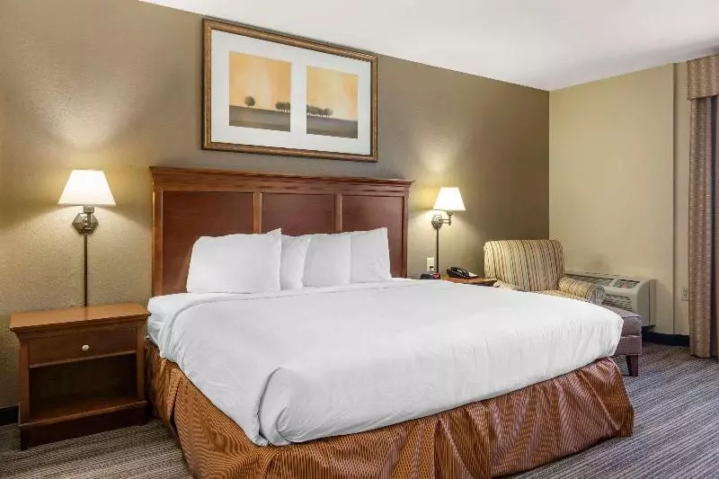 اتاق استاندارد با تخت بزرگ, Country Inn & Suites By Radisson, Atlanta Downtown