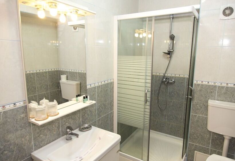 Cameră Standard, Herastrau