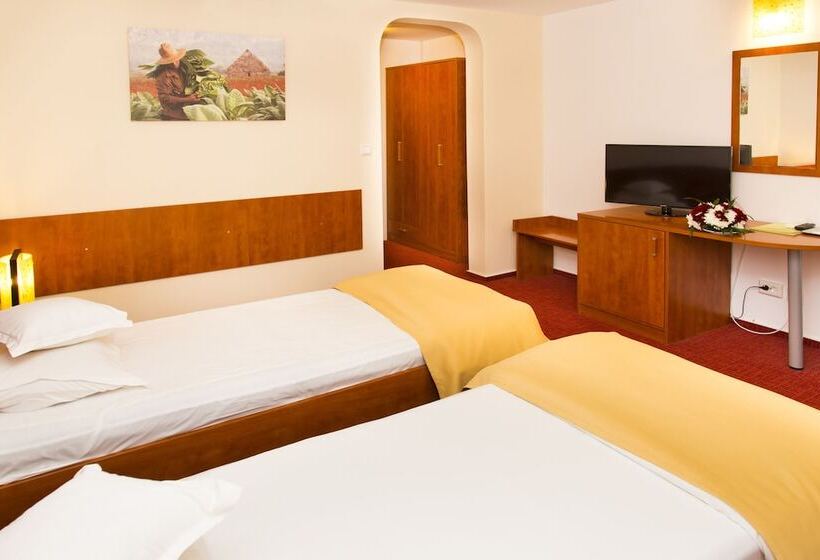 Cameră Standard, Herastrau