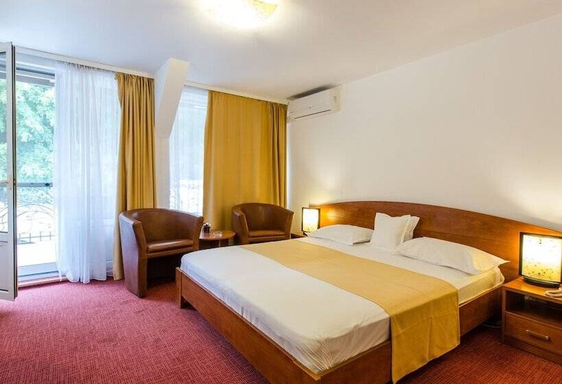 Cameră Standard cu Balcon, Herastrau