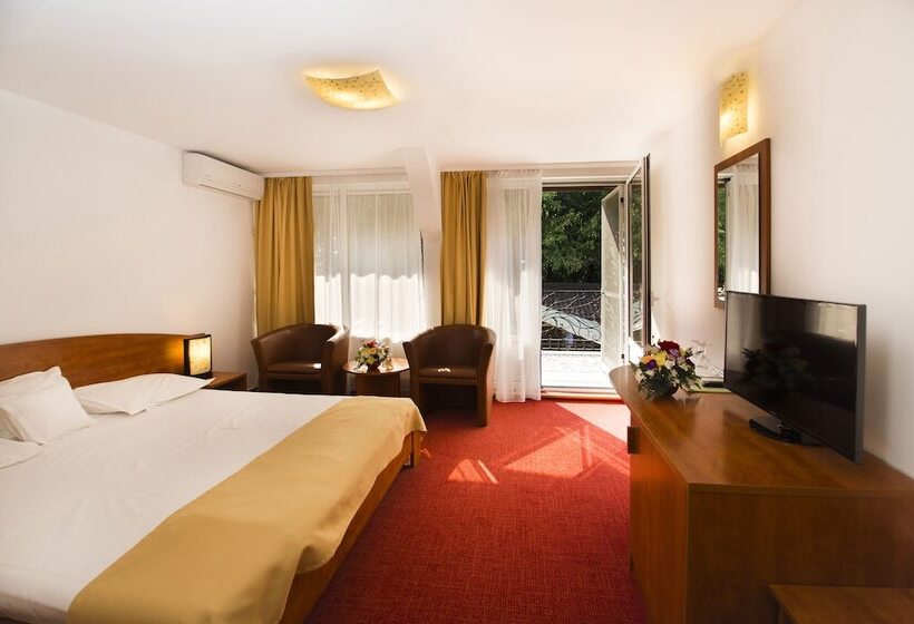 Cameră Standard cu Balcon, Herastrau