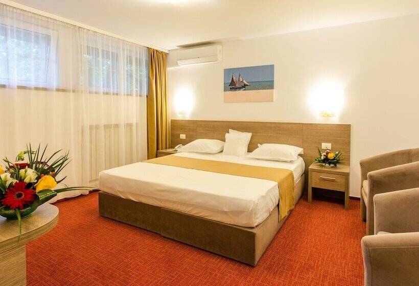 Cameră Business, Herastrau