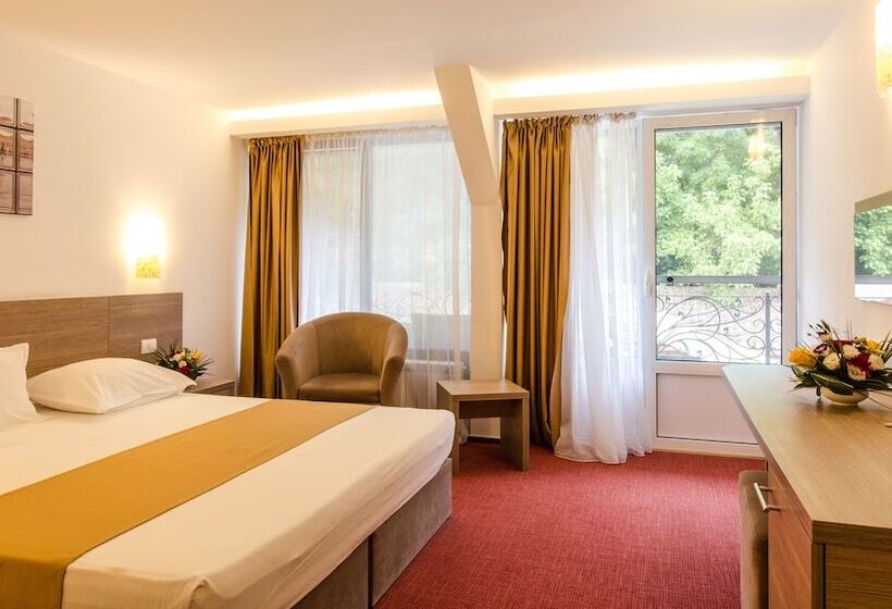 Cameră Business, Herastrau