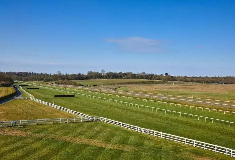 Standard-huone 2 Parivuodetta, Lingfield Park Marriott Hotel & Country Club