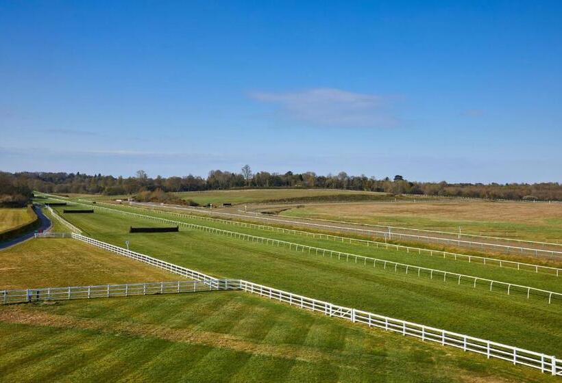 Номер Superior Кровать Кинг, Lingfield Park Marriott Hotel & Country Club