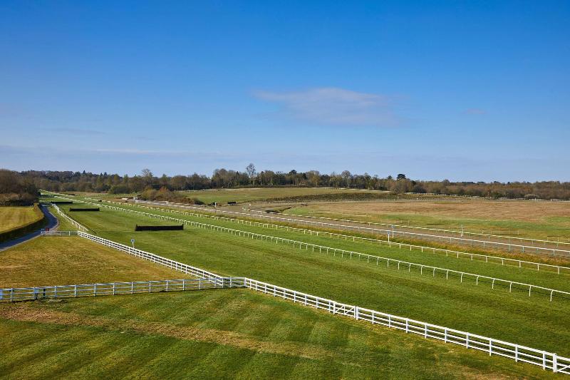 Стандартный Номер Кровать Кинг, Lingfield Park Marriott Hotel & Country Club