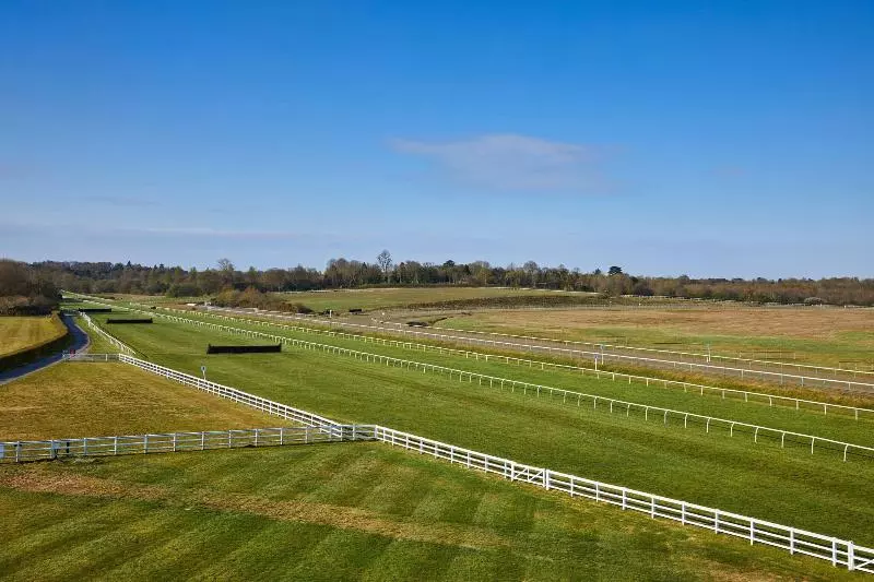 Standard-huone King-vuode, Lingfield Park Marriott Hotel & Country Club