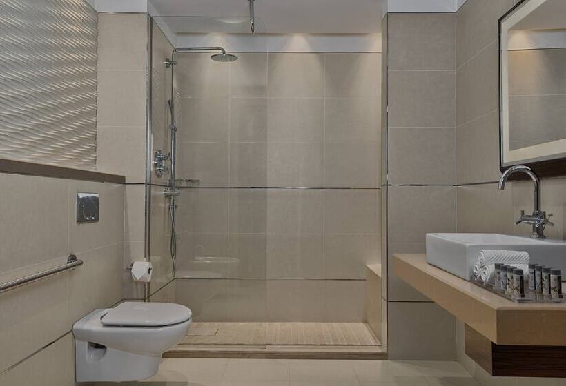 اتاق سوپریور, Renaissance Tlemcen