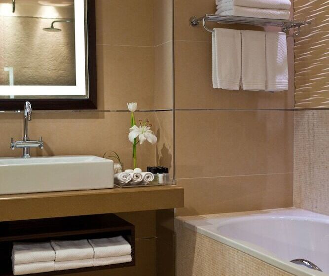 اتاق سوپریور, Renaissance Tlemcen