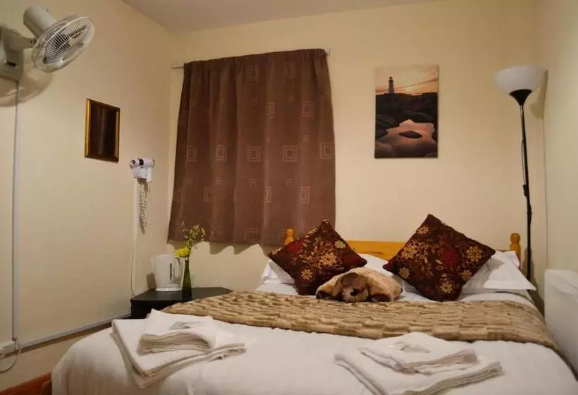 اتاق استاندارد با سرویس بهداشتی مشترک, City London