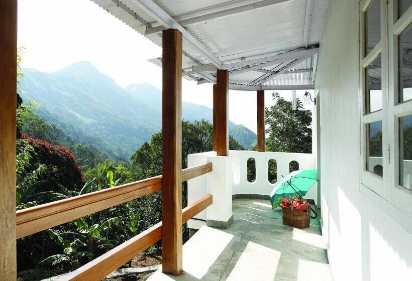 اتاق استاندارد, Windermere Estate