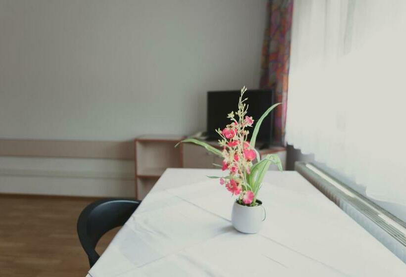 标准单人间, Sommerhotel Karwendel