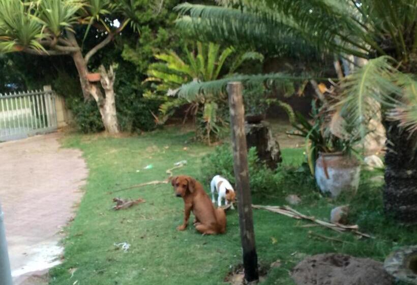 آپارتمان 1 خوابه با بالکن, Fairlie House