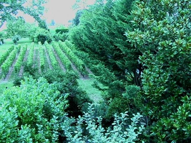 Номер Стандарт, Les Id De Saint Emilion