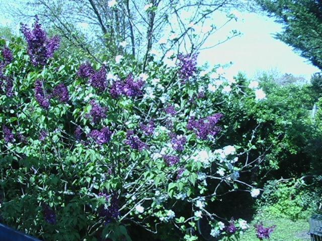 חדר סטנדרט, Les Id De Saint Emilion