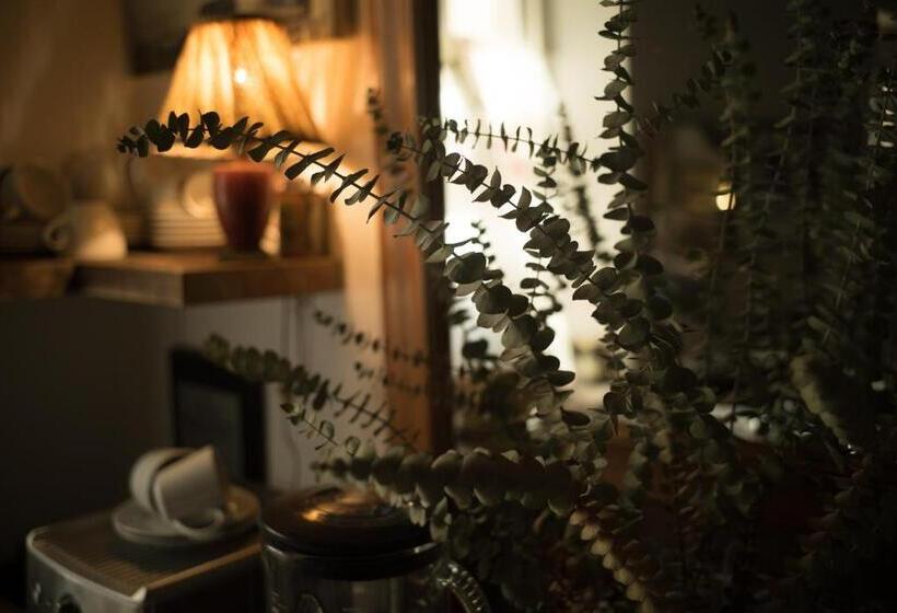 스탠다드 테라스 룸, The Whitehouse