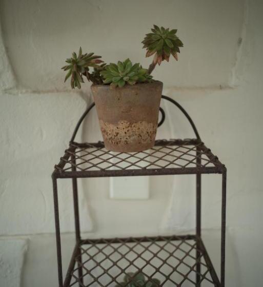 스탠다드 테라스 룸, The Whitehouse