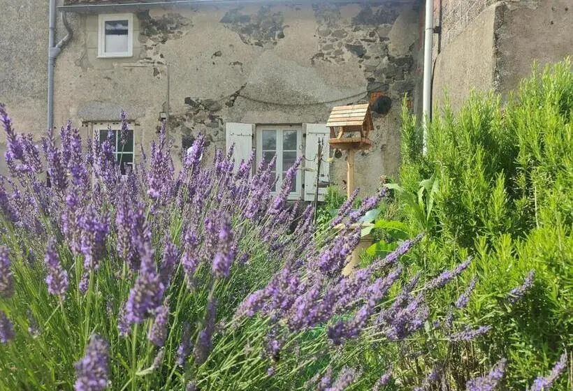 １ベッドルームハウス, Wisteria House