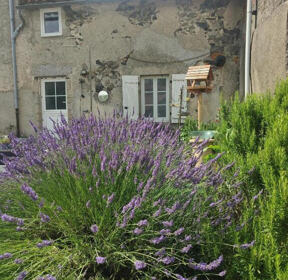 침실 1개 주택, Wisteria House