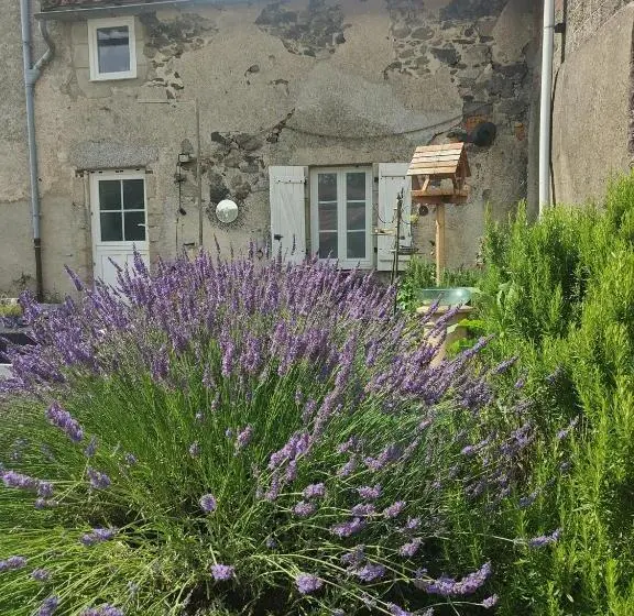 １ベッドルームハウス, Wisteria House