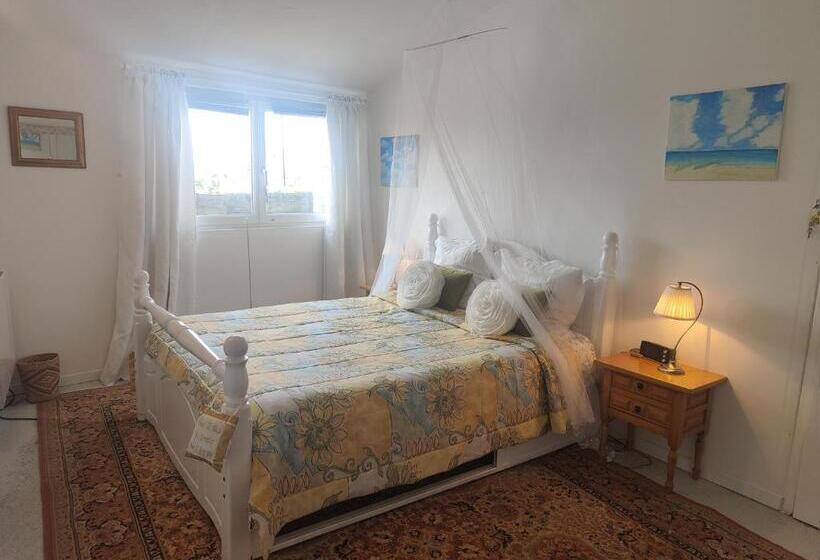 침실 1개 주택, Wisteria House